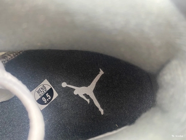 Reps TBK Air Jordan Grey CT8529-100 6 Cool 0706